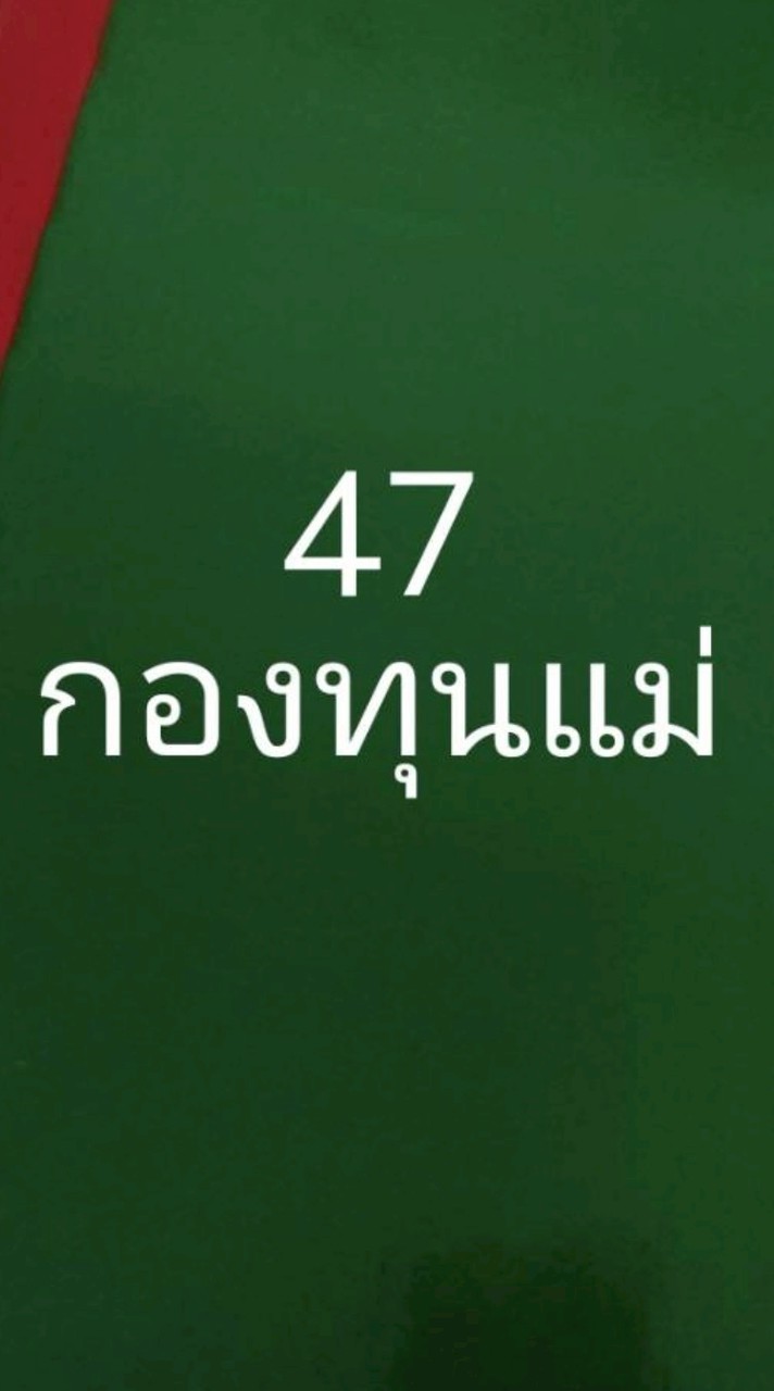 47 กองทุนแม่วังสามหมอ