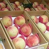 紅寶石安心農漁園
