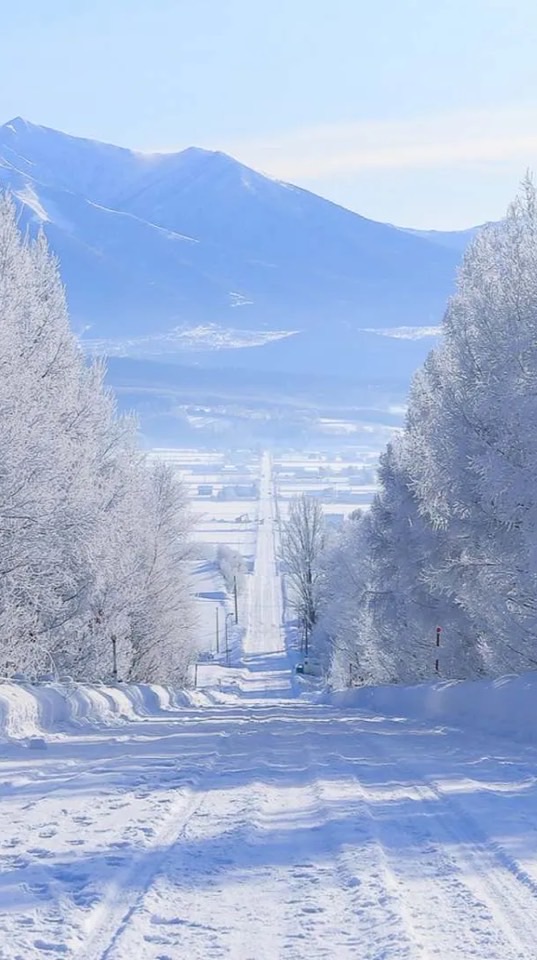 🇯🇵北海道11/6-13代購群