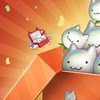 ROO 愛如初見 洛奇10閒聊八卦交易群