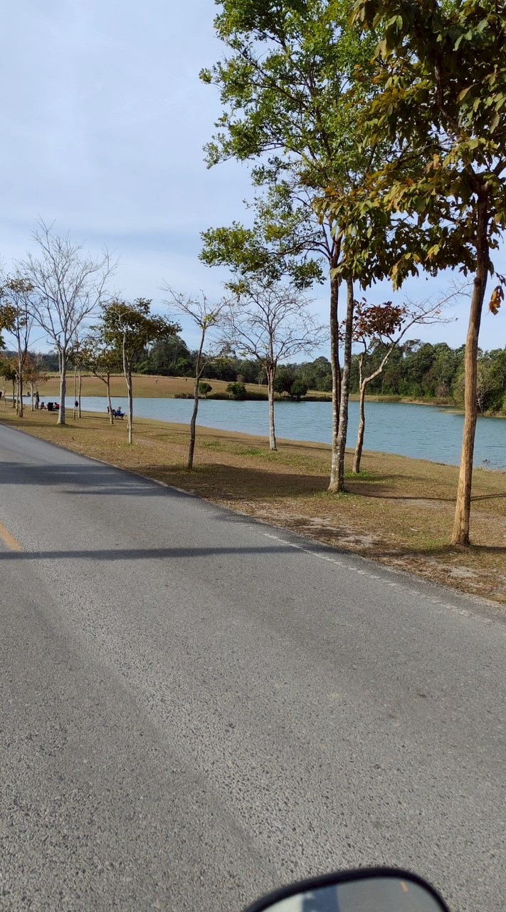 แจ้งเตือน​ หมูสี