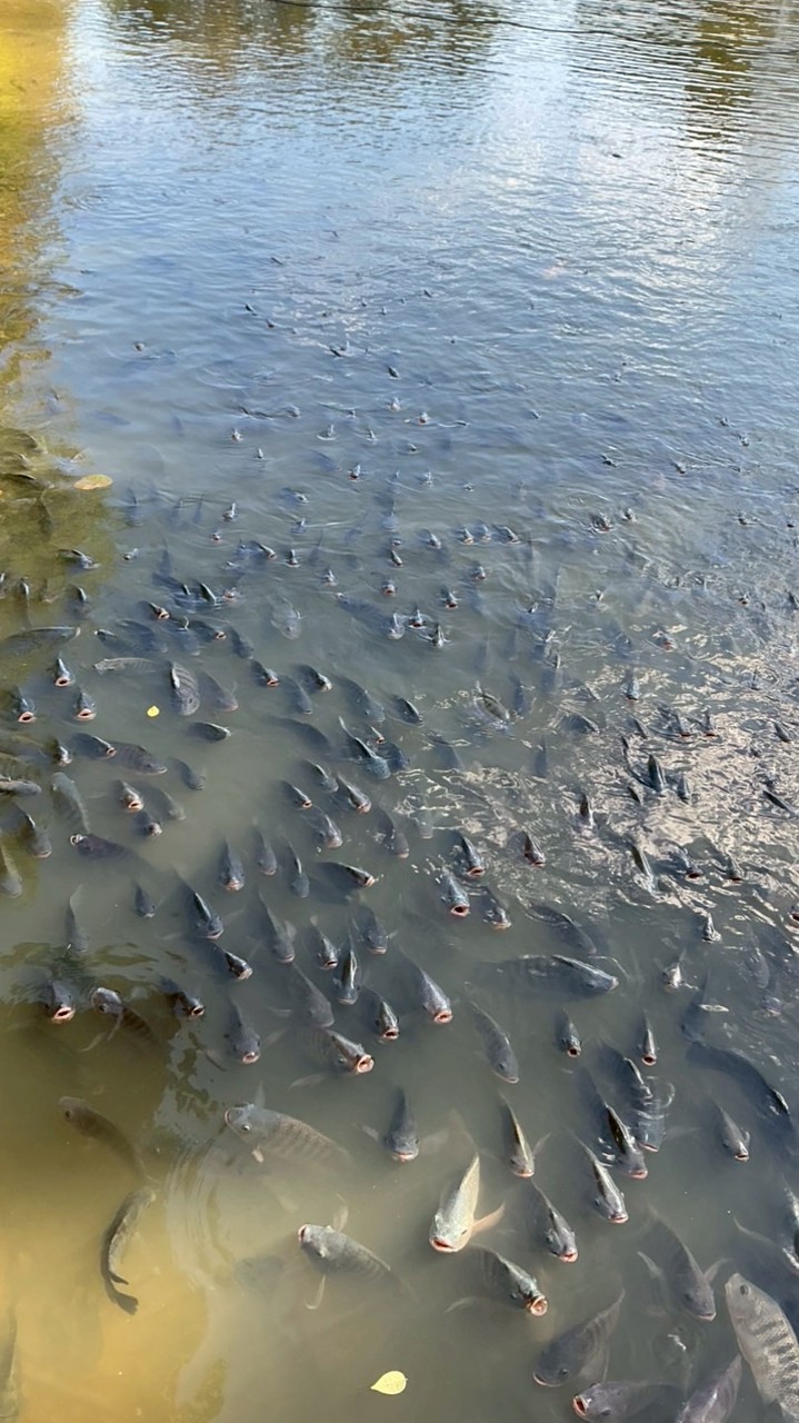 𓈒 ݁੭ ก݂ลุ่݁มท݂ำ݁ค݂ลิ݁ป݂คุ݁ณ݂ซิ݁ม⃝ 𓍼 ݂ ⸝⸝ ⛩️