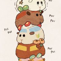 天竺鼠車車樂園