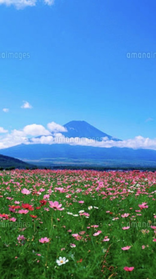 【完全招待制】45歳以上東京都、神奈川県、埼玉県、千葉県の人限定低山登山部屋