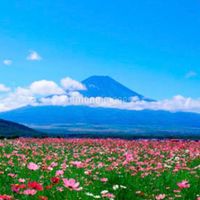 【完全招待制】45歳以上東京都、神奈川県、埼玉県、千葉県の人限定低山登山部屋