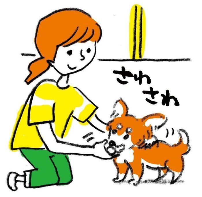 犬の先輩飼い主が後悔していること