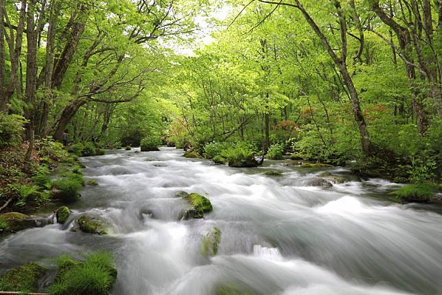 日本青森夢幻極景青森奧入瀨溪流十和田湖散策 野旅行 Line Today