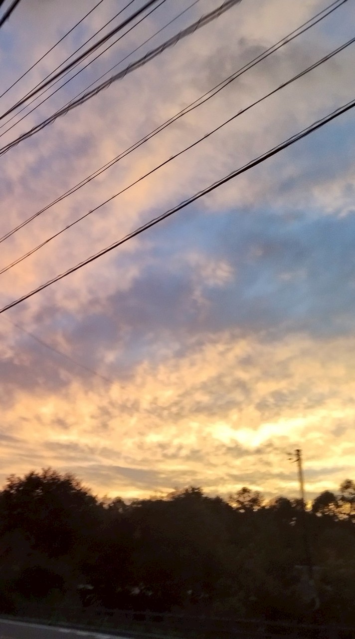 学生専用！雑談、歌枠、ライト、なんでもOK！恋バナも！