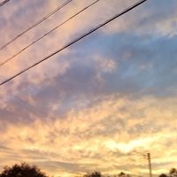 学生専用！雑談、歌枠、ライト、なんでもOK！恋バナも！