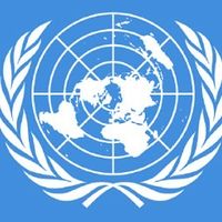 《国連🇺🇳》レゴフォトナ軍事界隈永和国家連合