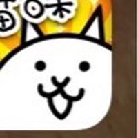 貓貓社群