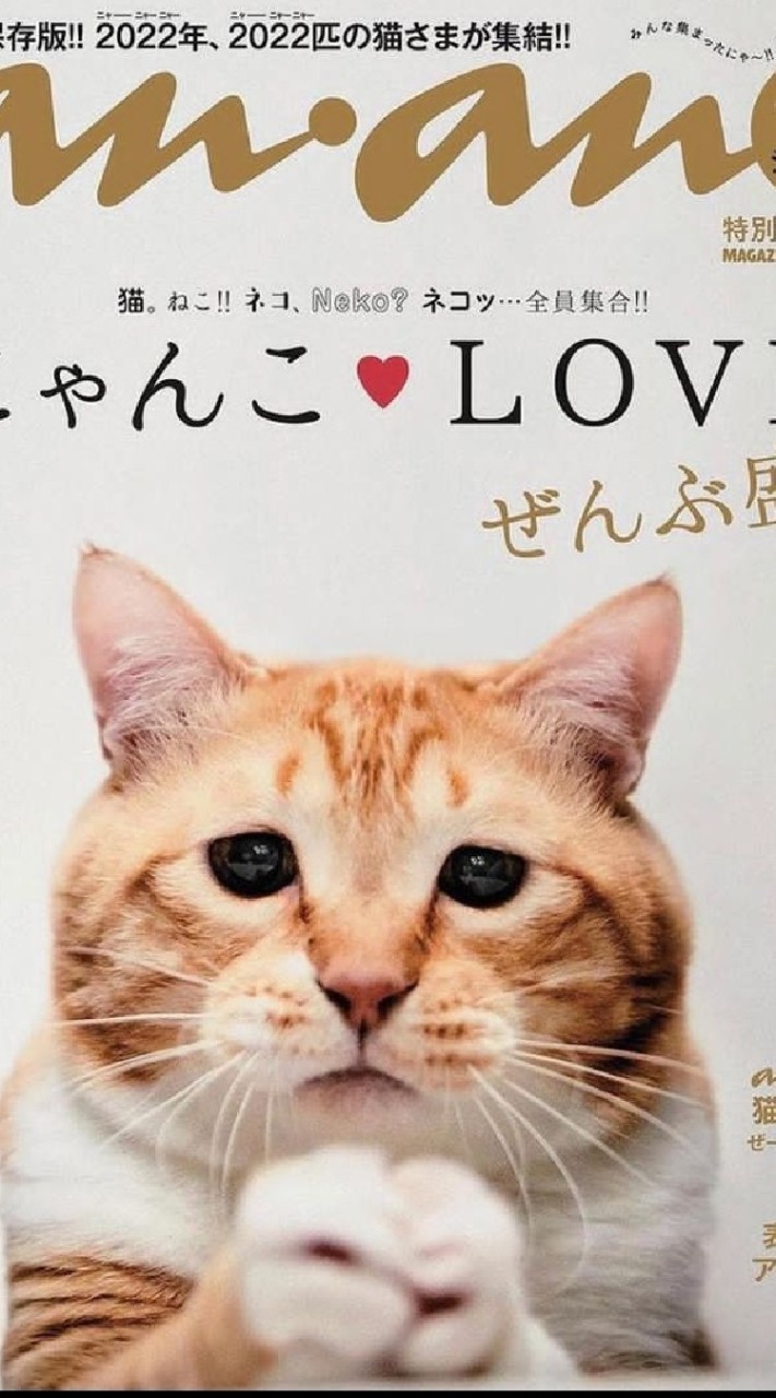 ペットの寝床。
