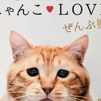 ペットの寝床。