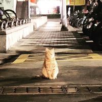 飯店/商旅/民宿-裏聊天室