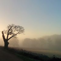 イギリス
