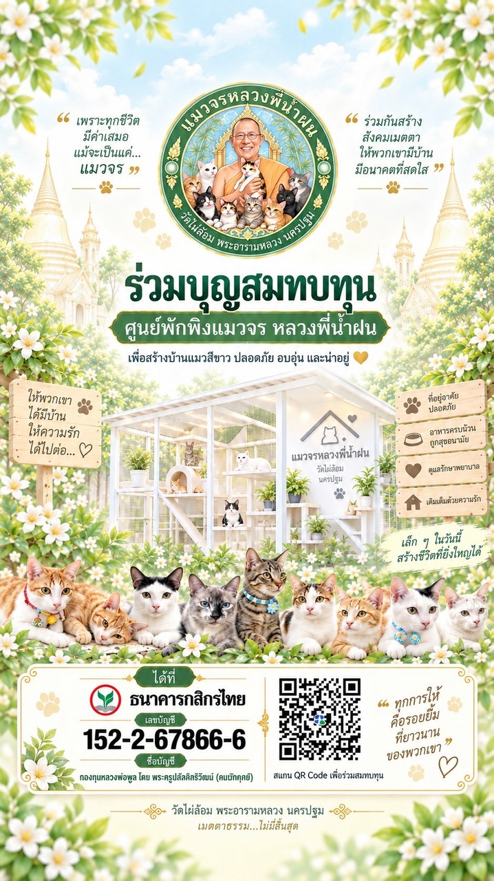 แมวจรหลวงพี่น้ำฝน