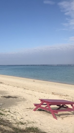 雯仔帶你趴趴走🧳國內外報你知