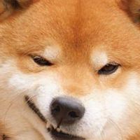 朴子市祥和國小討論群