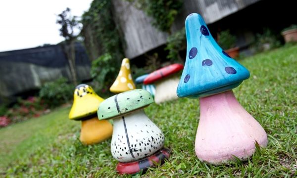 【e卡農場玩樂趣】南投《豐年靈芝菇類生態農場》農場悠遊自由行-1日遊單人兌換券