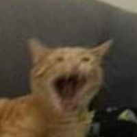 มออออ