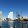 🔵【病気The雑談】🔵