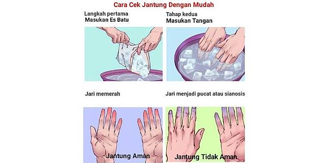 Viral Cara Cepat Cek Jantung Dengan Air Dan Es Batu Ini