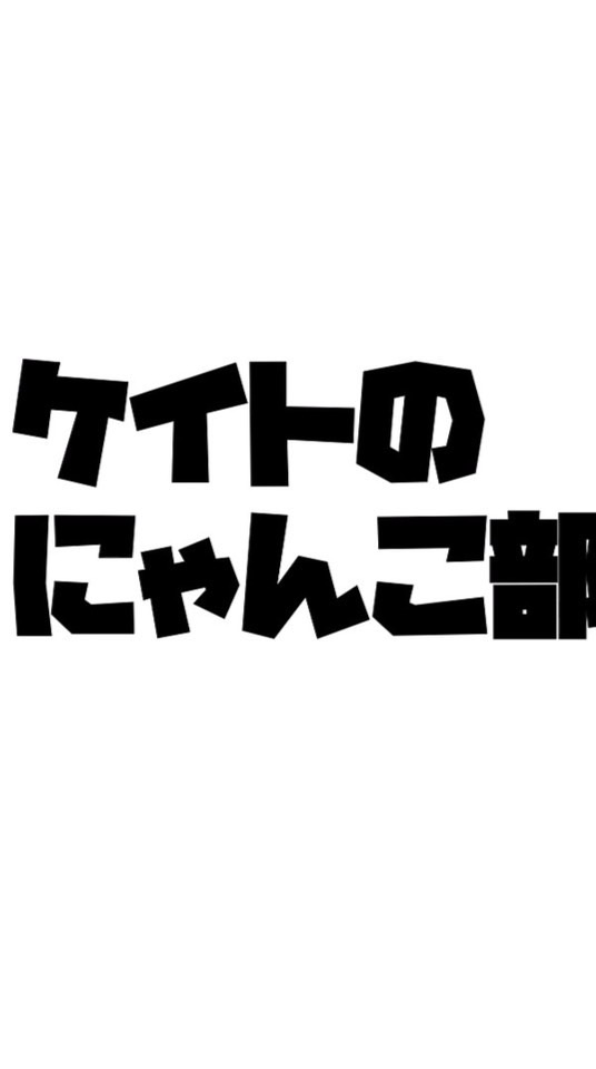 ケイトのにゃんこ部屋
