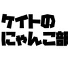 ケイトのにゃんこ部屋