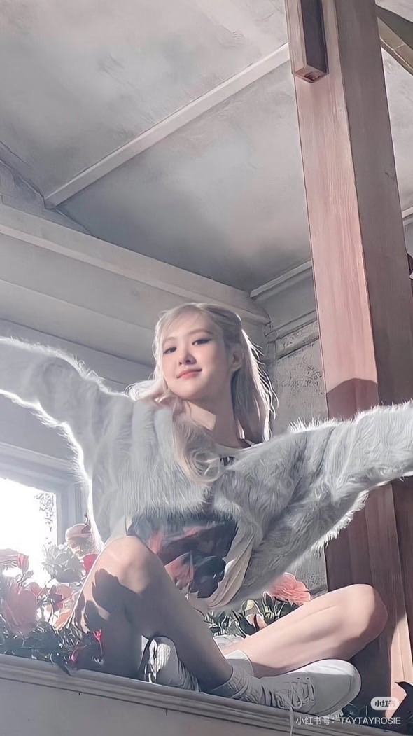 ₊ ˚‧ ♡̷̷̷ 𝐊𝐩𝐨𝐩 귀여운 공주의 작은 세계🤍🩰