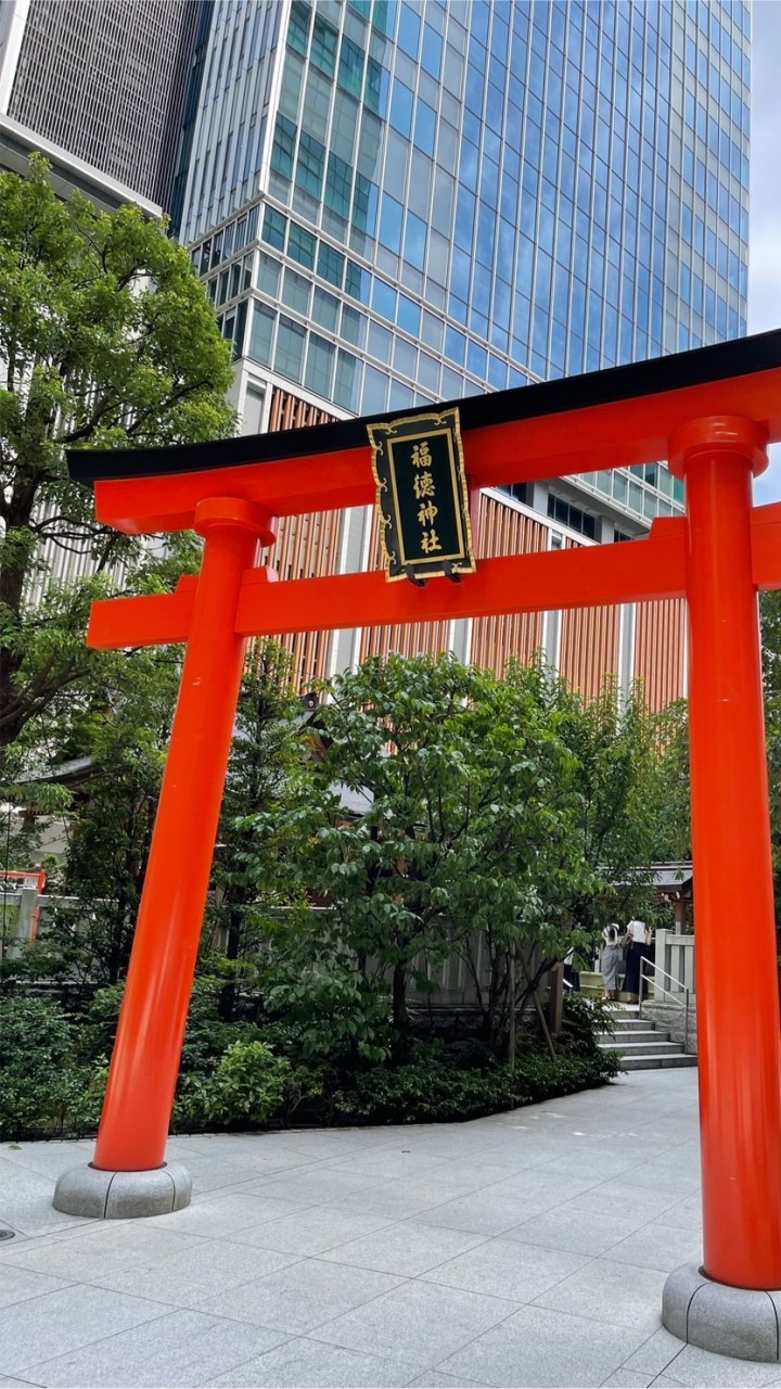 日本代購批發-富子鼠小鋪