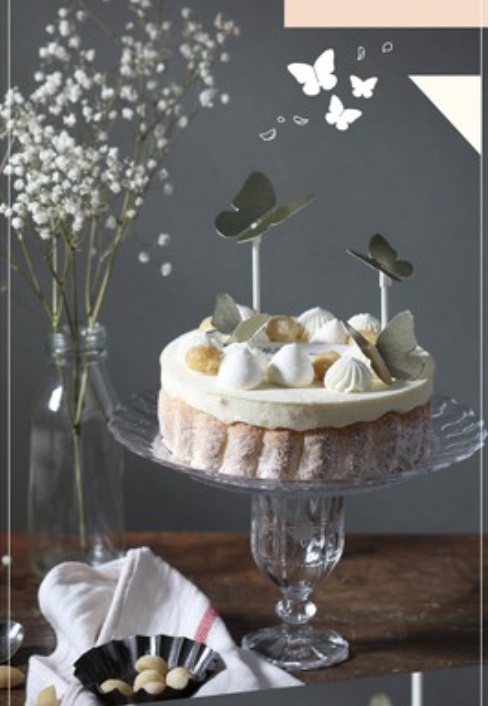 【糖村SUGAR & SPICE】夏威夷果仁慕斯 (蝴蝶版)