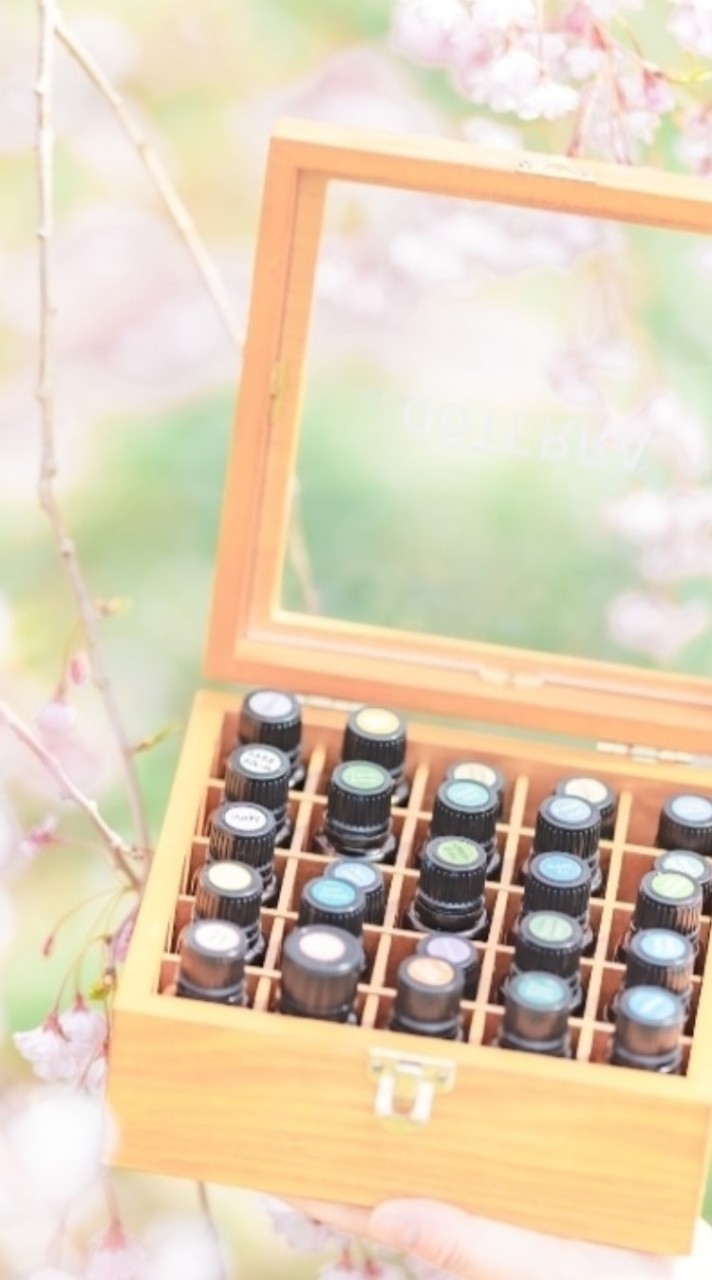 かもすけ組事典💐