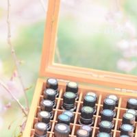 かもすけ組事典💐