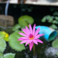 แม่ตาวใต้ ม.1