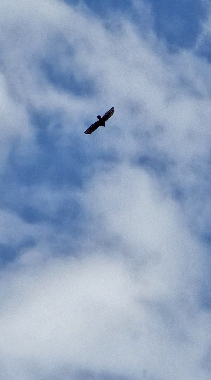 H先生車酷-銷售討論區A群