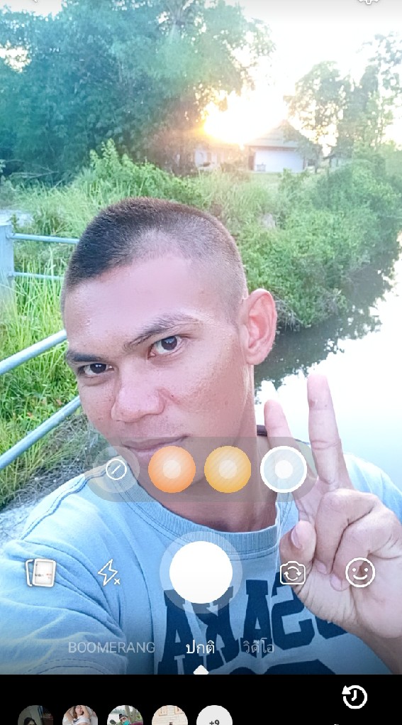 ดารี