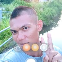 ดารี