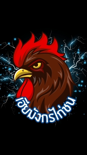 Cockfight House Vip เฮียมังกรไก่ชน