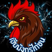 Cockfight House Vip เฮียมังกรไก่ชน