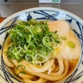 実際訪問したユーザーが直接撮影して投稿した松原町うどん丸亀製麺 彦根松原店の写真