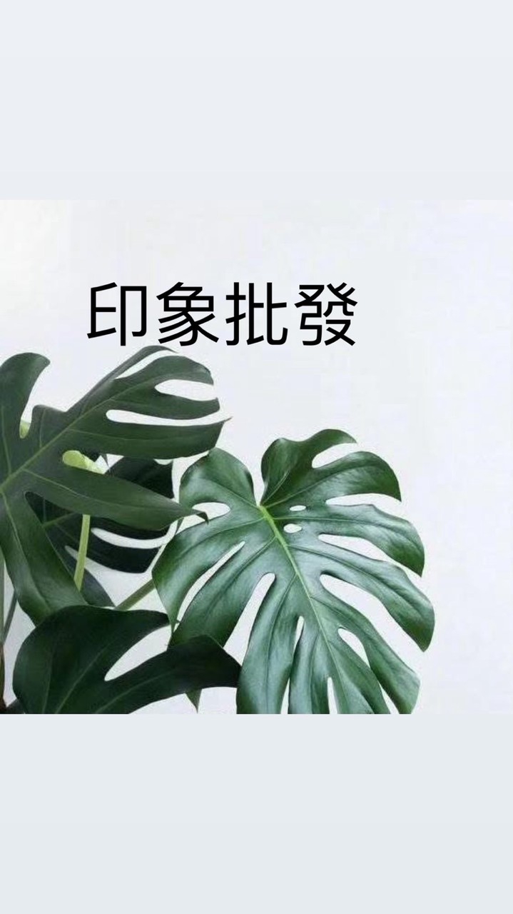 印象（廣州平價批發群）