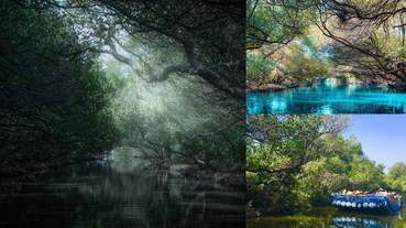 台灣也有亞馬遜河！台南自然景點《四草綠色隧道》神秘綠色雨林，幫你把機票錢省下來了
