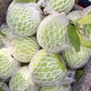 貝拉の芭樂