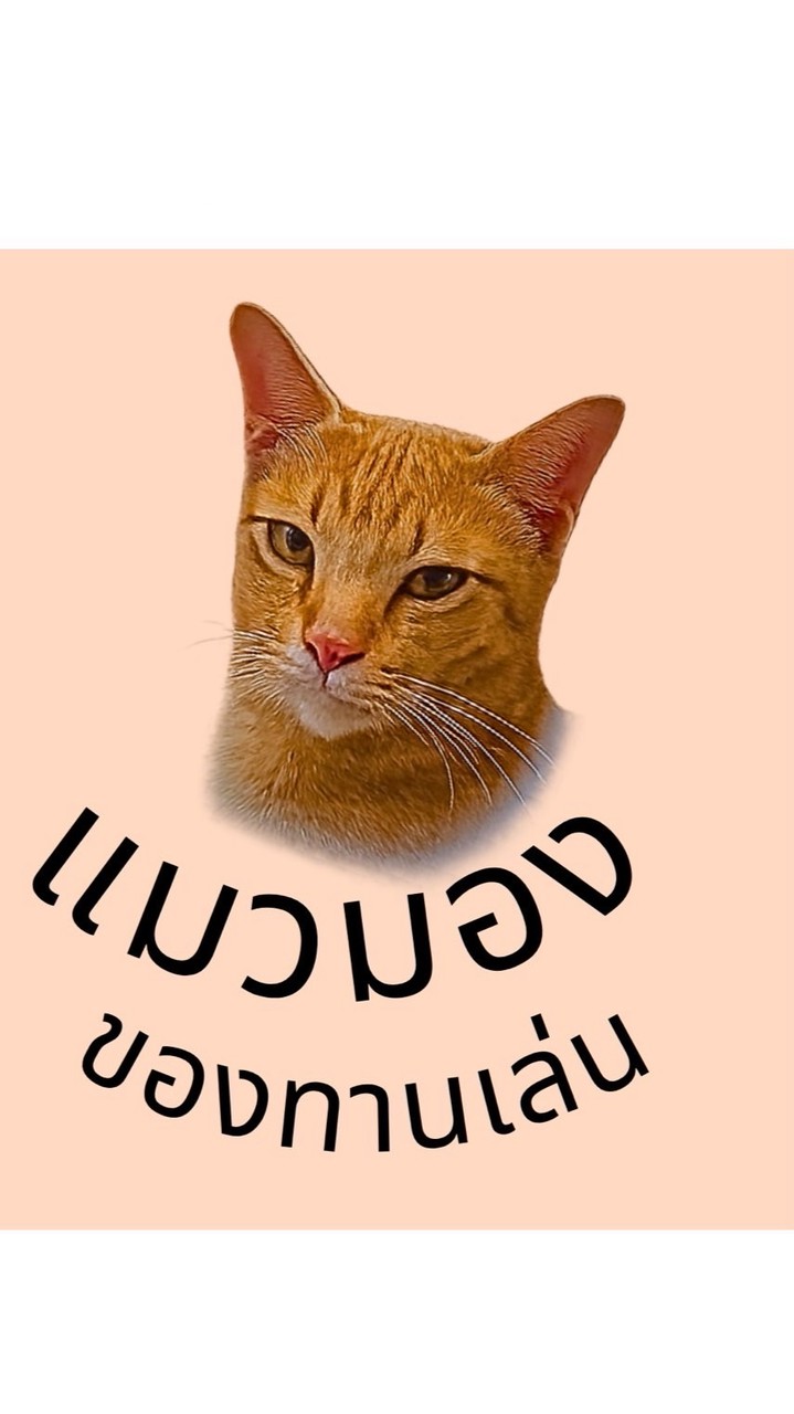 แมวมองของทานเล่น🐱
