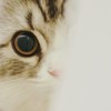 みんな、はなまる！💮同盟専用(エンパズ)