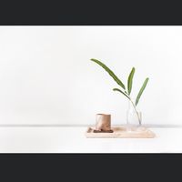 教練選物 新品上架雷達