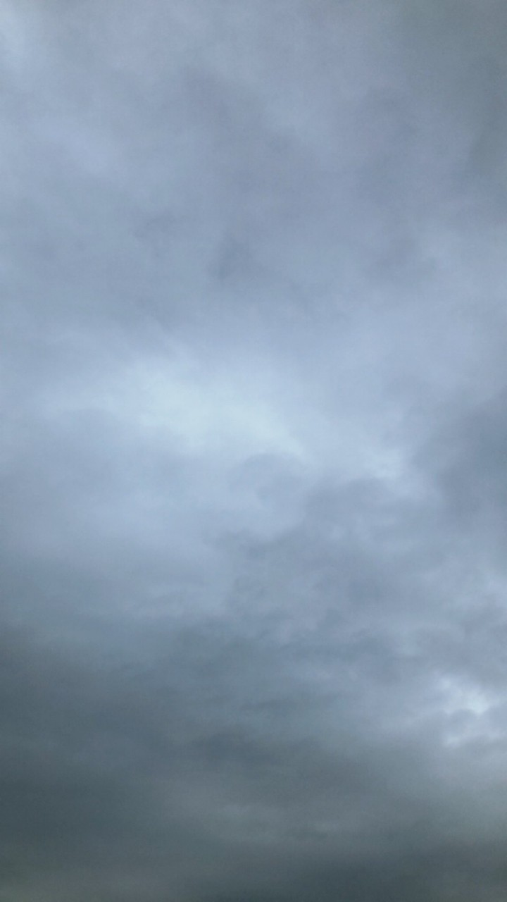 セキスイハイム様残土回収案件