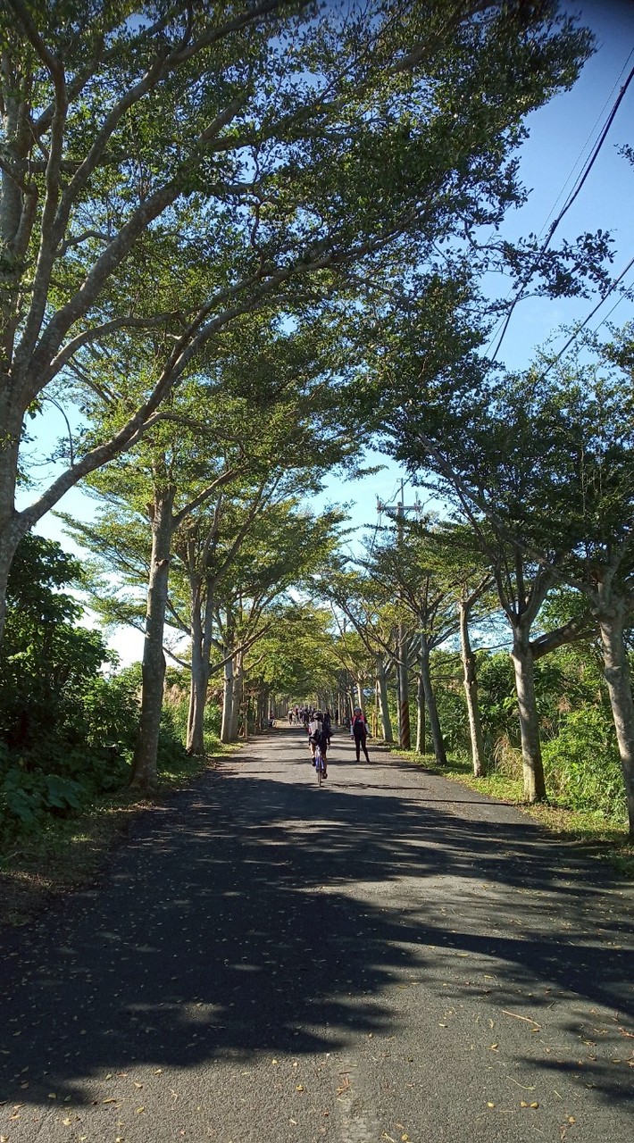 🏊‍♀️🚴‍♀️🏃‍♂️鹿米糰