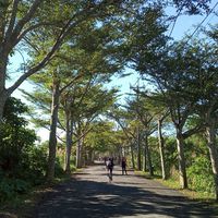 🏊‍♀️🚴‍♀️🏃‍♂️鹿米糰