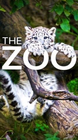 The Zoo 🌈超爆益EA動物園🌈FX自動売買 完全無料EA